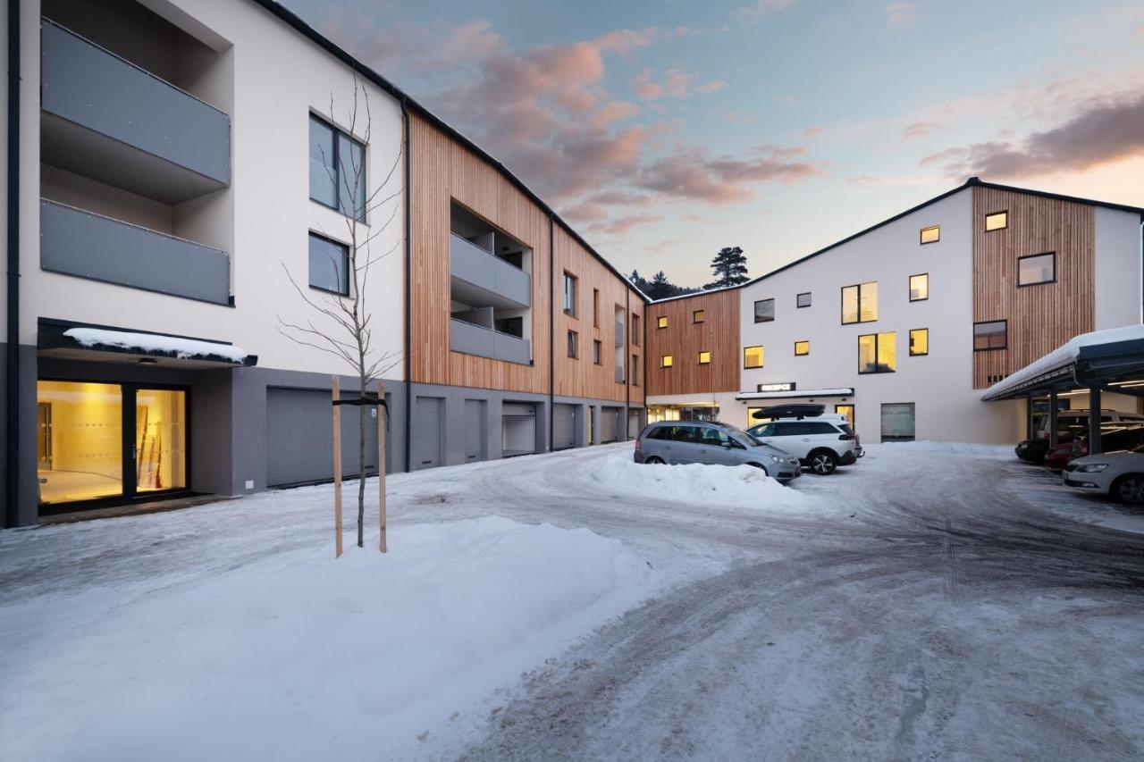 Apartmany Horska, Vrchlabí エクステリア 写真
